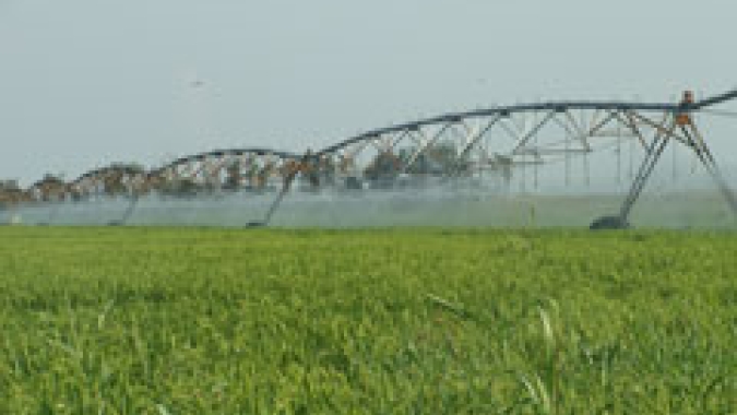 FiiB reúne mais de 100 marcas do setor de irrigação e recebe representantes de universidades e centros de pesquisa do agro