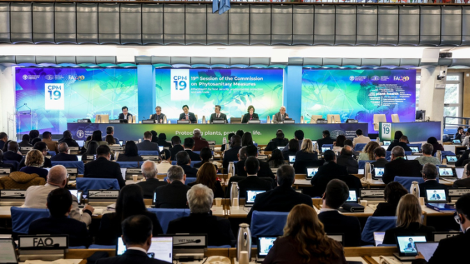 Delegação do Mapa participa da 19ª Sessão da Comissão de Medidas Fitossanitárias na FAO