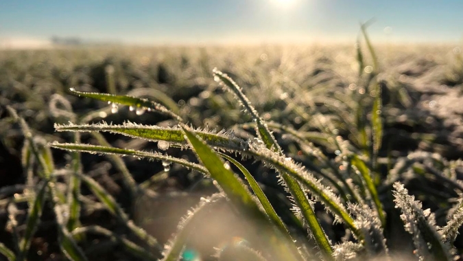 Tempo: Pico do frio deve acontecer na 4ª feira, aumentando a chance de geadas em todo o Centro-Sul