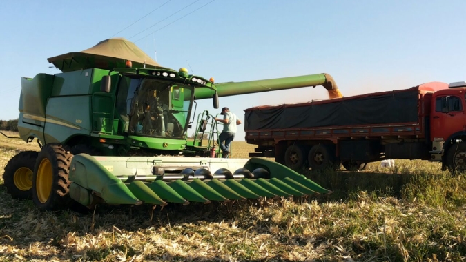 Aprosoja/MS indica corte de 19% na produção de milho no Mato Grosso do Sul