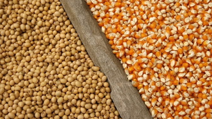 USDA traz embarques semanais tímidos e confirma demanda chinesa retraída