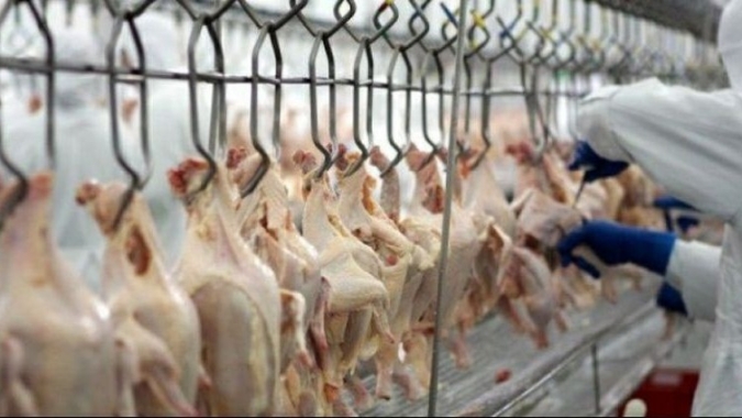 Tyson Foods prevê que custos em alta atinjam os lucros