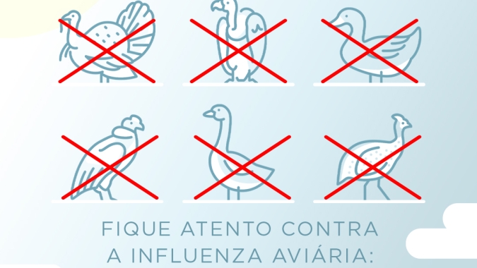 Influenza Aviária no Hemisfério Norte acende alerta no Brasil
