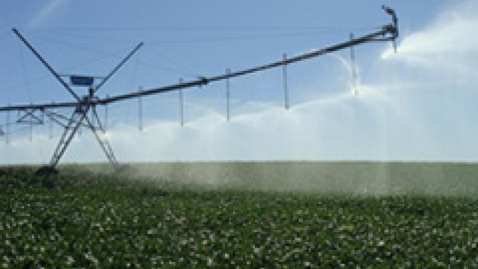 Codevasf abre licitação para lotes agrícolas em projeto público de irrigação na Bahia