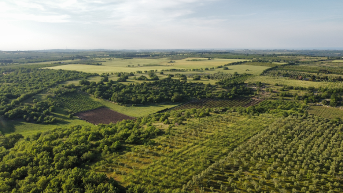 Fundo de investimento do agro cresce 147% nos últimos 12 meses