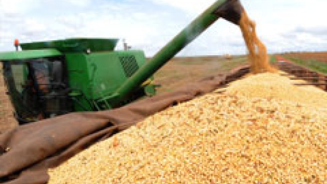 Produção estadual de grãos na BA fecha o ciclo com estimativa de 10,4 milhões de toneladas