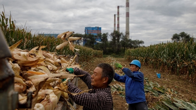 China emite plano de prevenção e mitigação de desastres para garantir colheita estável de grãos