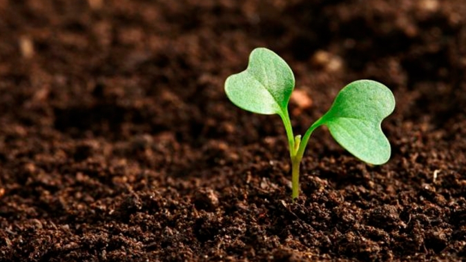 Pacto Global da ONU lança o Entre Solos, iniciativa para fomentar o diálogo sobre o agro sustentável