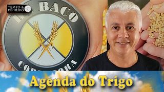 O mercado está atento às tensões e ao clima no Hemisfério Norte