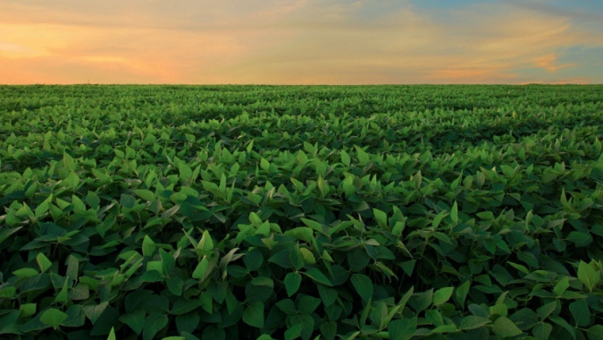 BASF fortalece inovação para levar tecnologias que contribuam cada vez mais com o legado do agricultor