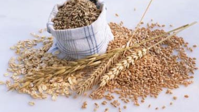 Santa Catarina implanta áreas experimentais para produção de cereais de inverno