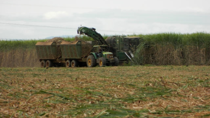 CTC anuncia pagamento de R$ 25,7 milhões em dividendos