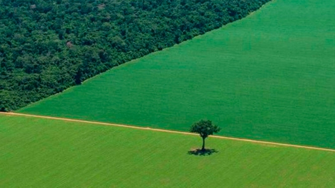 Desmatamento diminui na Amazônia brasileira em agosto, mas continua alto