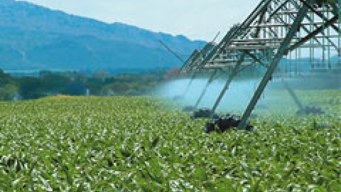 FPA: MP 1300/25 onera irrigantes e aumenta custos de produção