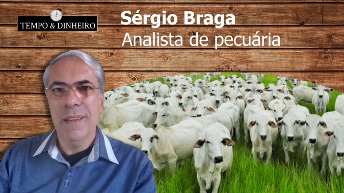 Sérgio Braga - Boi gordo cai em 4 praças pecuárias . Mercado registra escalas curtas no MS , Pará e parte do MT.
