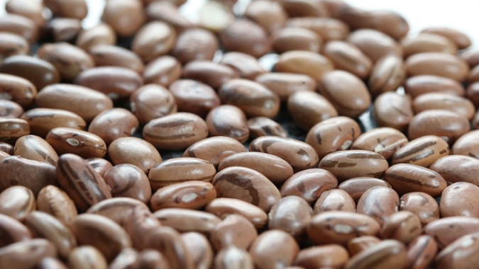 Abertura de mercado agropecuário para o Brasil na Costa Rica