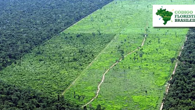 Estudos sobre emissão e remoção de gases de efeito estufa e adaptação agropecuária à mudança do clima são apresentados na COP26
