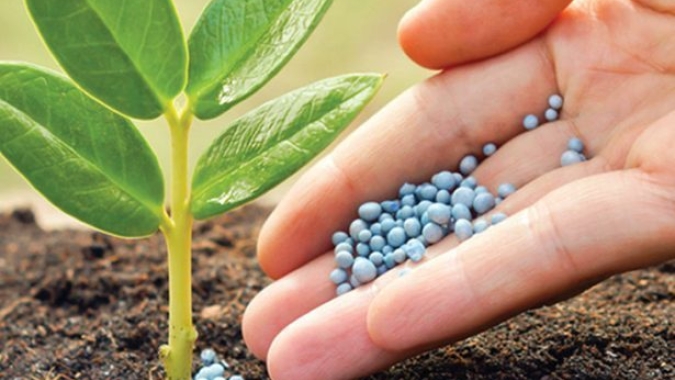 Mercado de fertilizantes: momento é favorável para compra de insumos