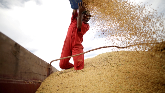 Soja brasileira safra 2020/21 está 94,5% comercializada, aponta Datagro