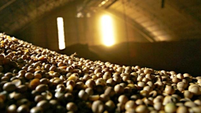 Coamo avalia que maiores estoques podem amenizar queda de preços e de safra em 2024