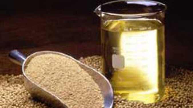 BSBIOS adquire Complexo Industrial La Paloma com fábrica de biodiesel e esmagadora de soja no Paraguai