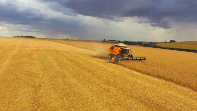 Santa Rosa/RS recebeu chuva no final de semana e expectativa de boa produtividade permanece