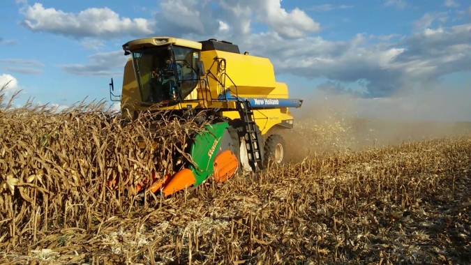 Colheita do milho ganha ritmo no Mato Grosso do Sul e chega à 87%, diz Famasul