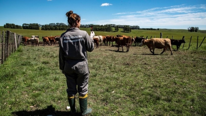 Rio Grande do Sul reestrutura serviço de defesa agropecuária