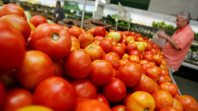 Tomate: Norte do PR finaliza a 1ª parte da safra de inverno com prejuízo
