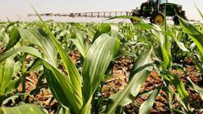 Syngenta garante à Abramilho segurança no abastecimento de insumos agrícolas ao mercado brasileiro