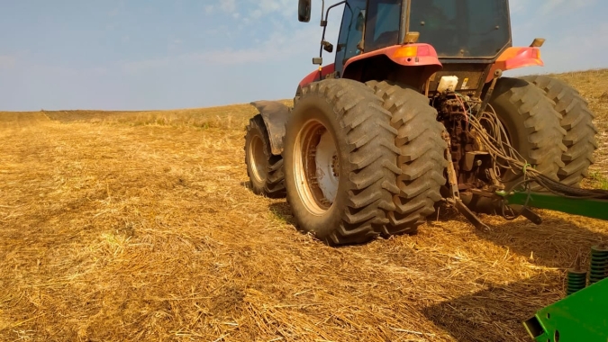 Plantio da safra de soja do Brasil 2020/21 alcança 0,7% da área, diz AgRural