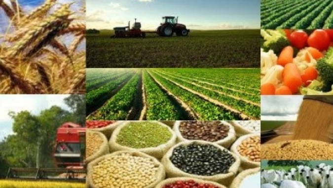Quatro efeitos da crise do coronavírus na economia das empresas do agro, por José Luiz Rampazo Filho