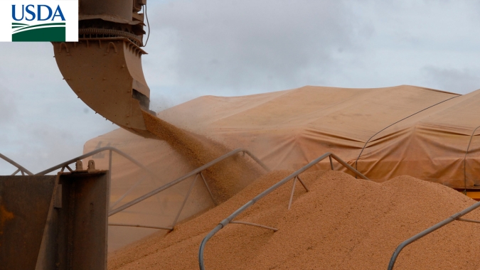 USDA: Vendas semanais de soja superam 2,8 mi de t e ficam acima do esperado; milho dentro das expectativas