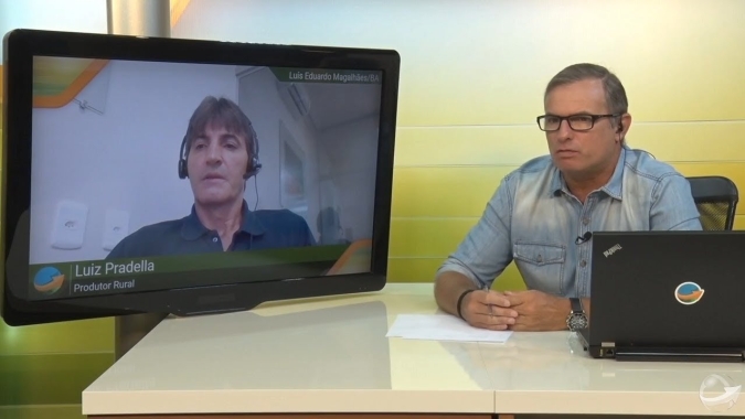 Ao invés de escarificar, plante forrageiras e cubra o solo com palhada permanente, diz Luis Pradella