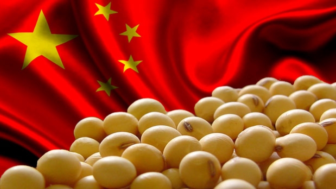 China eleva previsões de safras de soja e milho