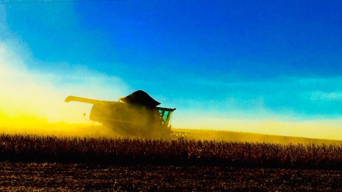 Colheita de soja no Brasil avança "bem" para 9% da área, diz AgRural