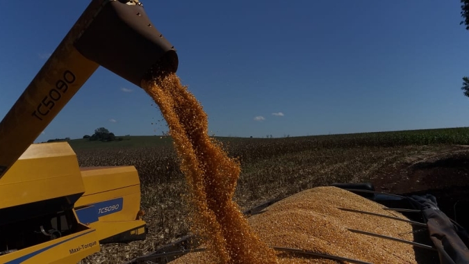 Conab contratará frete para remover 2,1 mil toneladas de milho