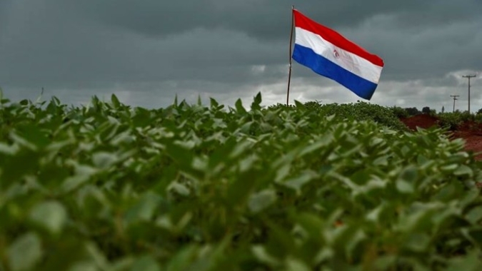 Paraguai consolida a maior safra de sua história e caminha para um novo recorde total