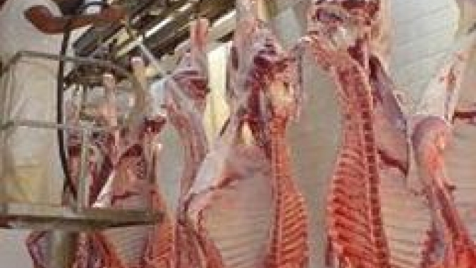 Abrafrigo: Exportações totais de carne bovina em junho caem em relação a maio, mas crescem 6,5% em relação a junho/21