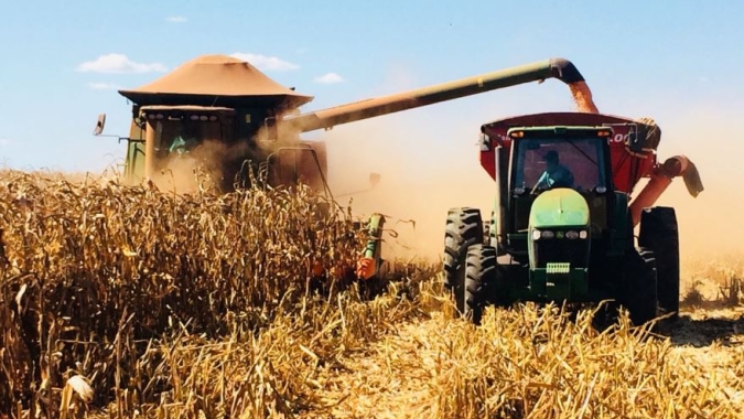 Colheita do milho vai à 52% na Argentina contra 72% do mesmo período do ano passado