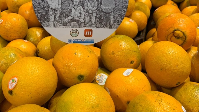 Fundecitrus aponta queda de 25% na safra de laranja de SP/MG em 2020/21