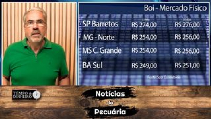 Boi gordo bate os R$ 303 na B3 mas o fisico não acompanha. Escalas de abate com novilhas e vacas gordas