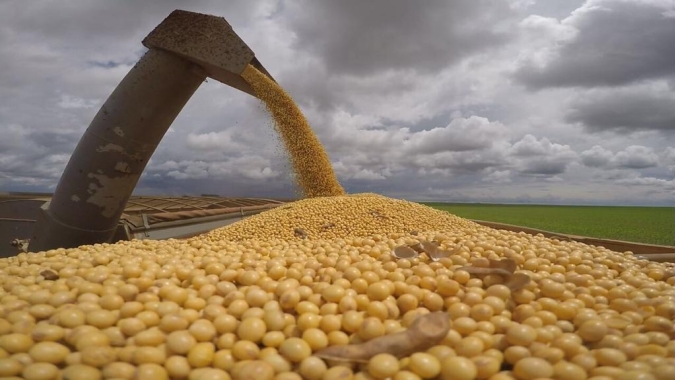 StoneX reduz em 1,5% estimativa de produção de soja na safra 2024/25