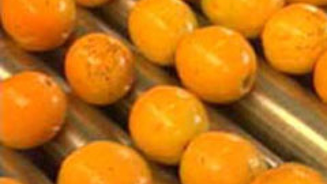Citros/Cepea: Chuvas devem trazer alívio a produtores