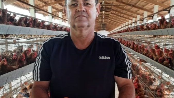 Avicultores de Pernambuco descartam poedeiras devido ao alto custo de milho e farelo de soja