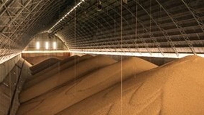 Importação de soja do Brasil pela China cai em janeiro e fevereiro por atraso em cargas