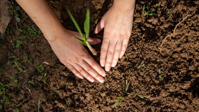 Canavieiros da Socicana com práticas sustentáveis contam com linha de crédito com juros mais baratos