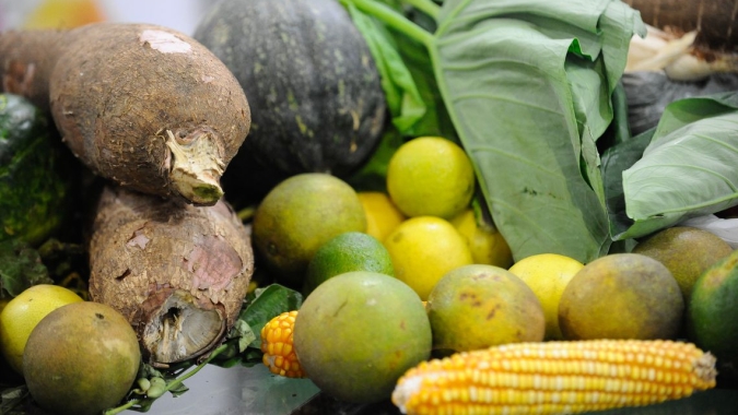 Hortifruti: Atividades da cadeia produtiva de alimentos não devem parar