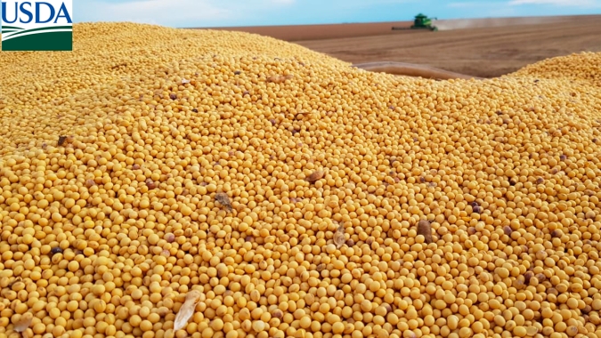 USDA: Embarques de soja dos EUA passam de 40,9 mi de t no acumulado da temporada
