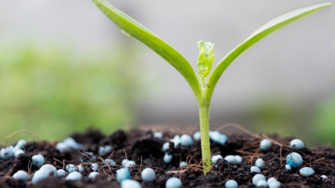 Projeto cria programa de incentivos para fortalecer indústria nacional de fertilizantes